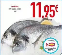 Masymas Dorada - dorada oferta