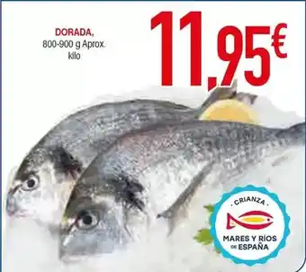 Masymas Dorada - dorada oferta