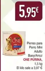 Masymas Purina - one oferta