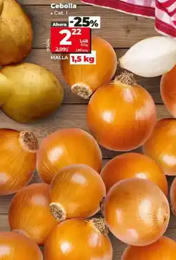 Dia Cebolla oferta