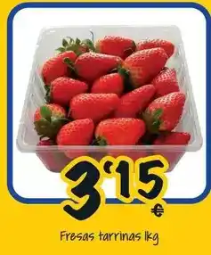 Cash Fresh Fresas tarrinas oferta