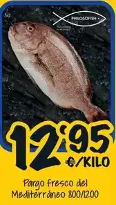 Cash Fresh Pargo fresco del mediterraneo oferta