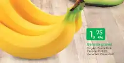 Supermercados Tu Super Banana granel oferta