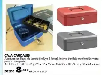 Coferdroza Caja caudales oferta