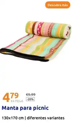 Action Manta para pícnic 130x170 cm oferta