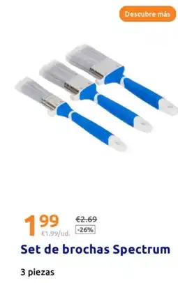 Action SPECTRUM Set de brochas oferta
