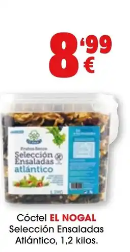 TOP Cash & Carry EL NOGAL Cóctel Seleccion Ensaladas oferta