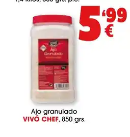 TOP Cash & Carry VIVÓ CHEF Ajo granulado oferta