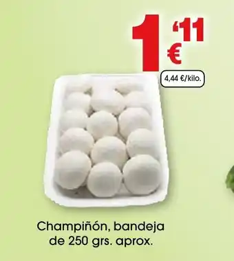 TOP Cash & Carry Champiñón, bandeja oferta