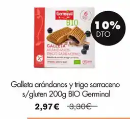 NaturaSí Galleta arándanos y trigo sarraceno s/gluten oferta