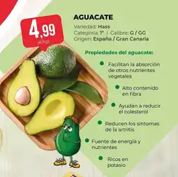 SPAR Gran Canaria Aguacate oferta