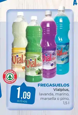 SPAR Gran Canaria VIALPLUS Fregasuelos oferta