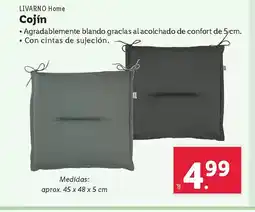 Lidl LIVARNO Home Cojín oferta
