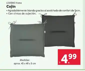 Lidl LIVARNO Home Cojín oferta