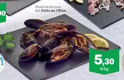Sorli Musclos de roca del oferta