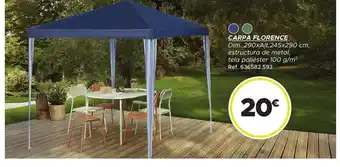 GiFi Carpa florence oferta