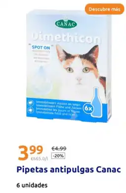 Action CANAC Pipetas antipulgas oferta