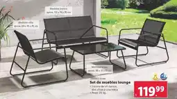Lidl 51 - set de muebles lounge oferta