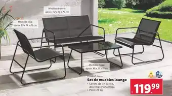 Lidl 51 - set de muebles lounge oferta