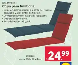 Lidl Livarno - cojin para tumbona oferta