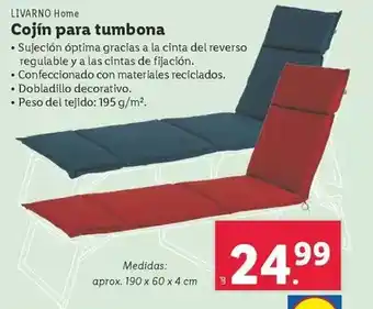 Lidl Livarno - cojin para tumbona oferta