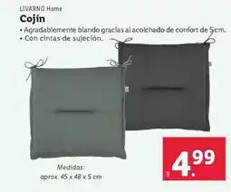 Lidl Livarno - cojin oferta