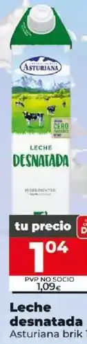 Dia Asturiana - leche desnatada brik 1 l oferta