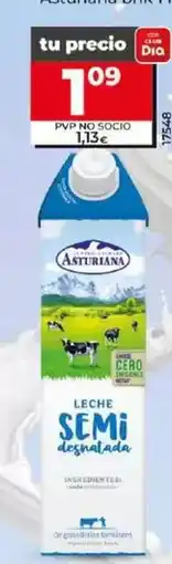 Dia Asturiana - leche semidesnatada brik 1 l oferta