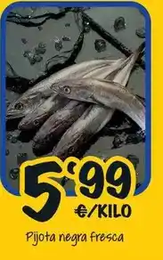 Cash Fresh Pijota negra fresca oferta