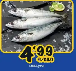 Cash Fresh Caballa granel oferta