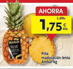 FROIZ Piña maduración lenta oferta