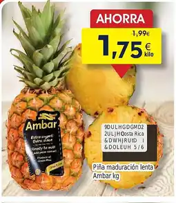 FROIZ Piña maduración lenta Ambar oferta