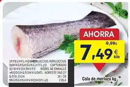 FROIZ Cola de merluza oferta