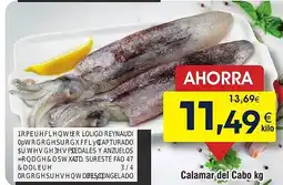 FROIZ Calamar del Cabo oferta