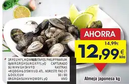 FROIZ Almeja japonesa oferta