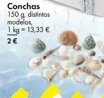 TEDi Conchas oferta