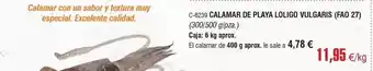 Abordo Calamar de playa loligo oferta
