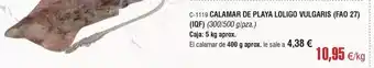 Abordo Calamar de playa loliquo vulgaris oferta