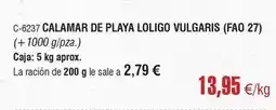 Abordo Calamar de playa loligo oferta