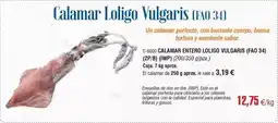 Abordo Perfecto - calamar entero lolivio culgaris oferta