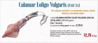 Abordo Perfecto - calamar entero lolivio culgaris oferta
