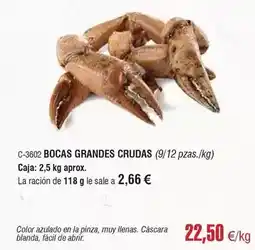 Abordo Bocas grandes crudas oferta