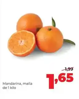 Abordo Solo - coliflor oferta