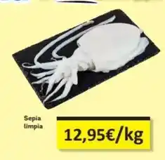 Economy Cash Sepia limpia oferta