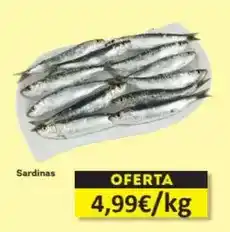Economy Cash Sardinas oferta