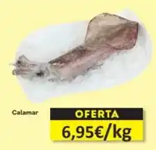 Economy Cash Calamar oferta