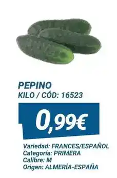 Dialsur Cash & Carry Pepino oferta