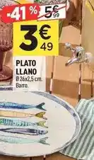 Centrakor Plato llano oferta