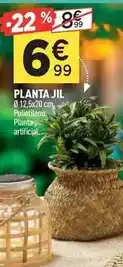 Centrakor Planta jil oferta