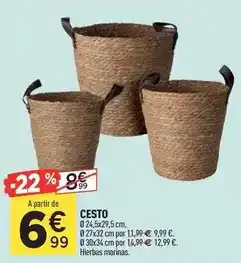 Centrakor Cesto oferta